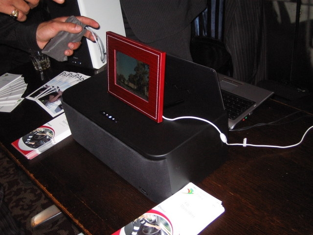 cadre photo parrot cadre photo parrot