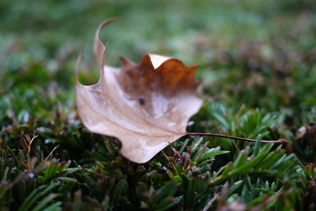 Balade d'Automne dans le sud du 14e