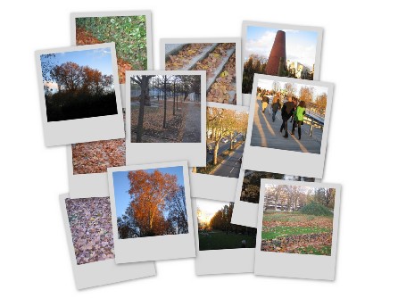 Petite ballade automnale Petite ballade automnale