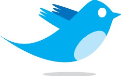 Premier bilan sur Twitter Premier bilan sur Twitter