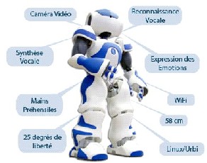 Nao : le premier humanoïde français