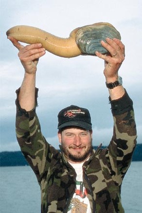 Connaissez vous les Geoducks ?