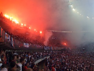 Paris n'a pas mangé du lion
