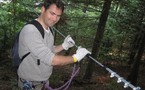 Balade dans les arbres