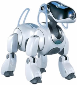 aibo.jpg aibo.jpg