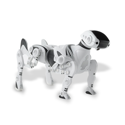 robopet.jpg robopet.jpg