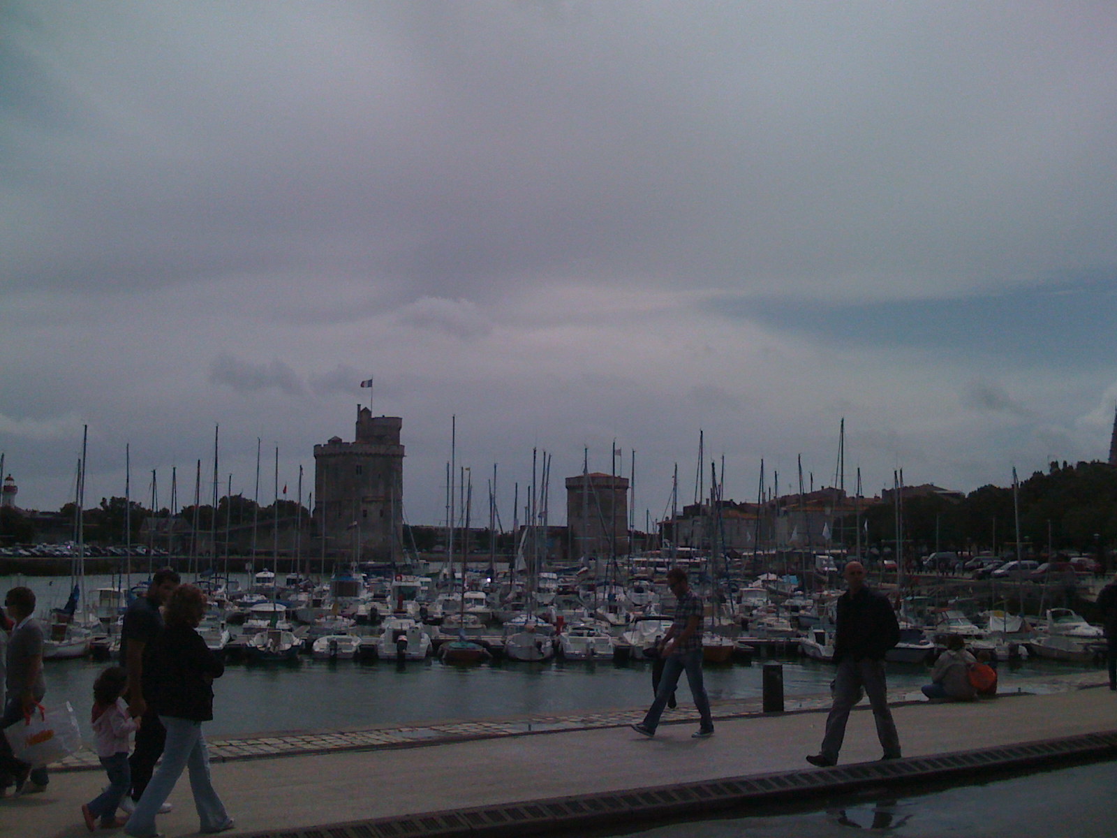 IMG_0229.JPG IMG_0229.JPG